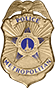 Metro Badge